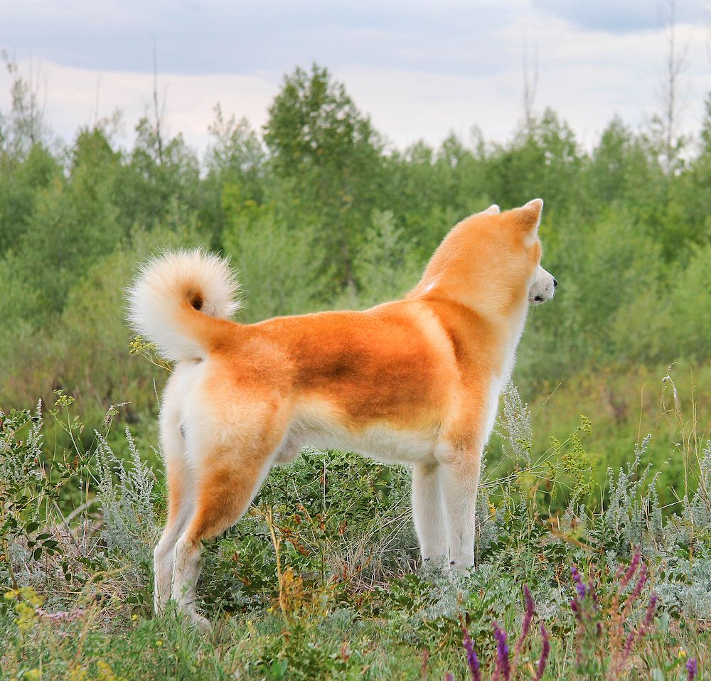 Editorial: December 9, 2022